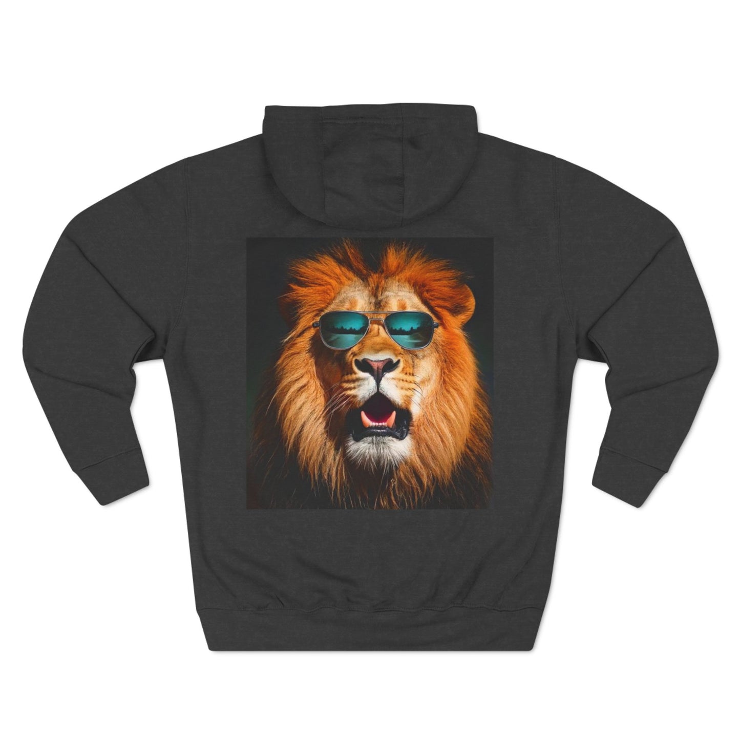 Three-Panel Fleece Hoodie